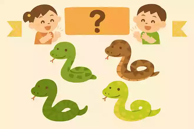 世界一大きなへびは、つぎのうちどれでしょうか?