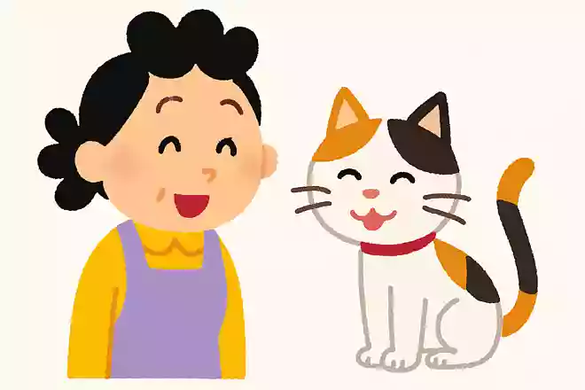 サザエさんが飼っている猫の名前は?