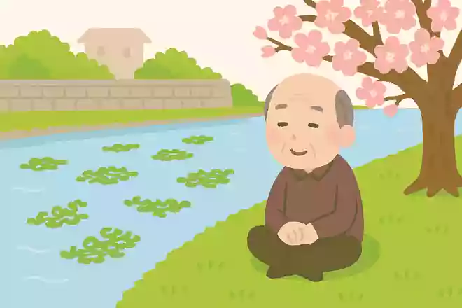 門川に 流れ藻絶えぬ 五月かな