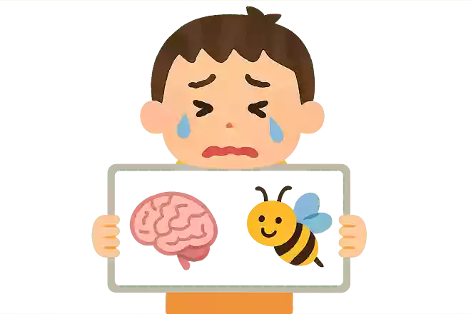 泣き面に〇〇