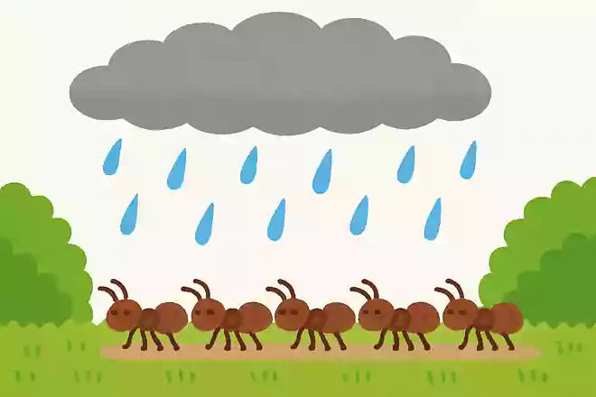 アリが行列を作ると雨が降る
