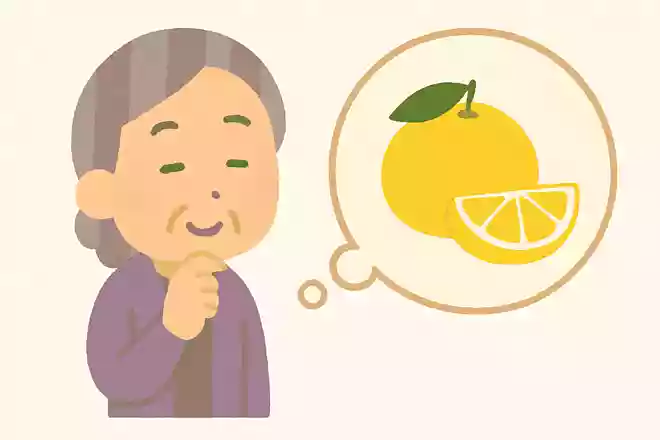 宮崎県で生産量1位の日向夏はどんな果物でしょうか?