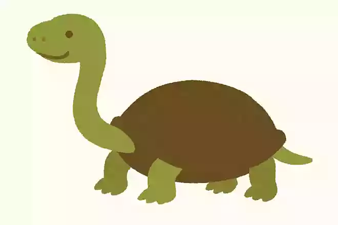 ナガクビガメ