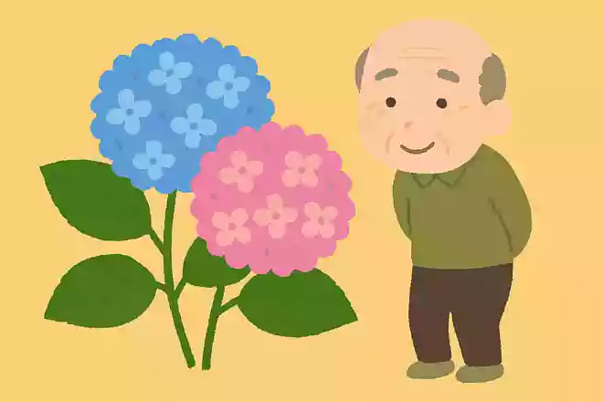 紫陽花の花言葉は次のうちどれでしょうか。