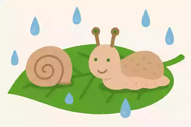 梅雨の時期にみられるカタツムリの殻をとるとどうなるでしょうか