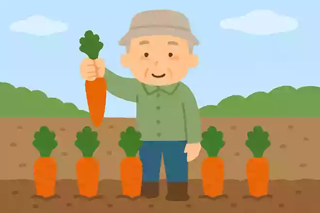 畑に植えてあった5本の人参から、1本抜きました。抜いたあと、いくつ残っているでしょうか?