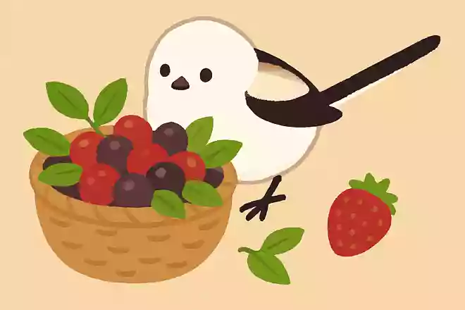 シマエナガは虫の他に何を食べているでしょうか?
