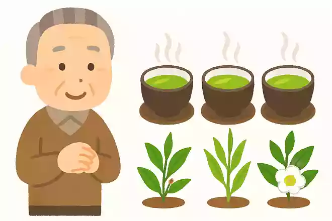 日本の三大銘茶は宇治茶、狭山茶、もうひとつは何茶でしょう？