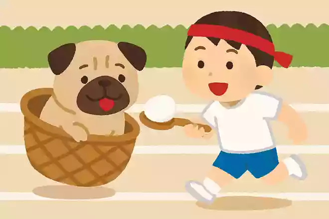 どんなかごにもププッと入れます！