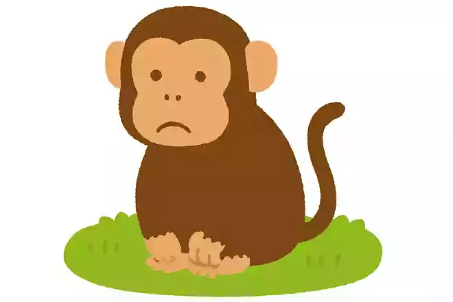 ロエストザル