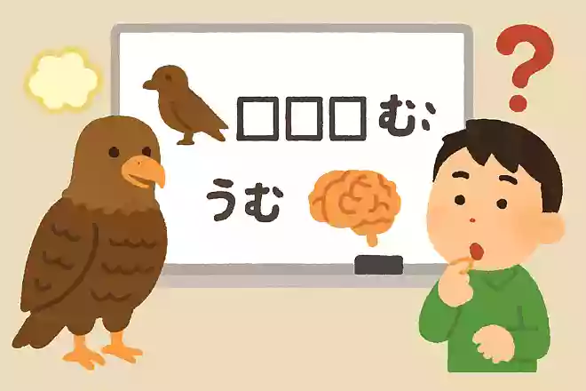 トビが〇〇を生む