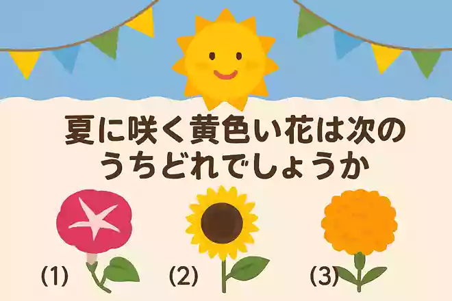 夏に咲く黄色い花は次のうちどれでしょうか