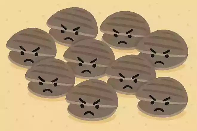 小さくても10こあつまるとこわくなる貝ってなーんだ?NEW!