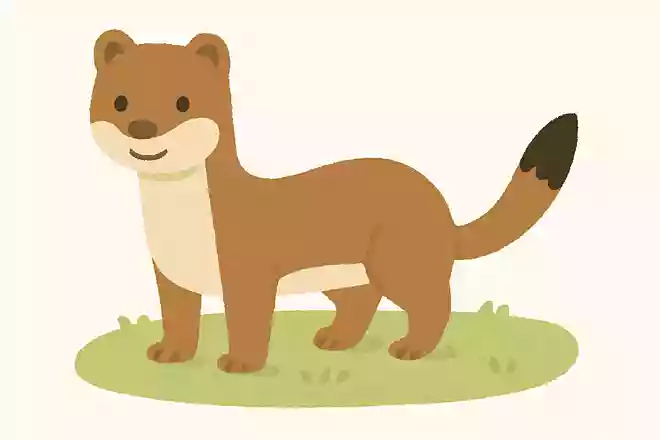 「鼬」はなんの動物でしょう?