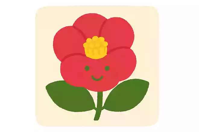 山茶花