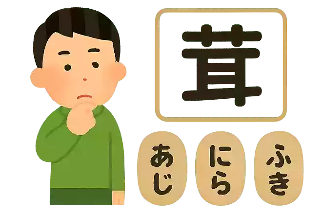 韮