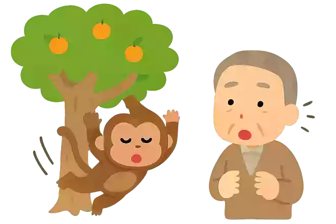 〇〇も木から落ちる
