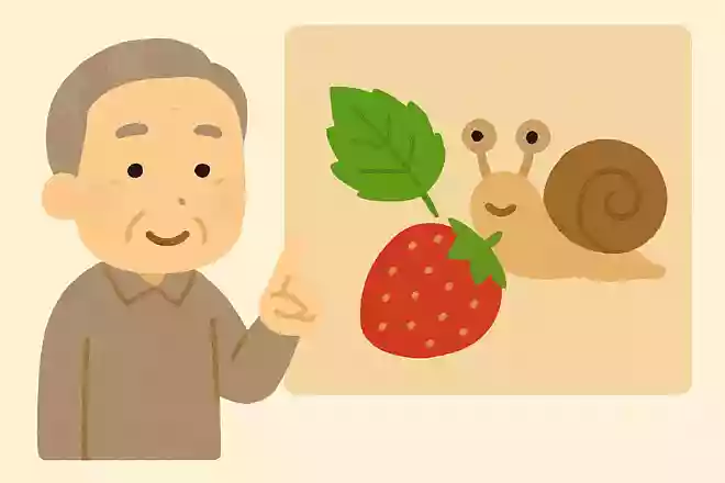 カタツムリは藻やキノコを食べますが、他に何を食べるでしょうか。