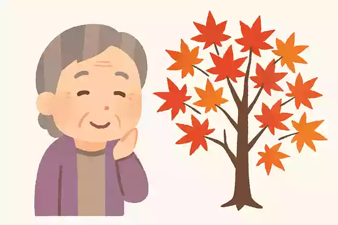 綺麗な紅葉になるもみじですが、人間と同じようにあるものは何でしょうか?