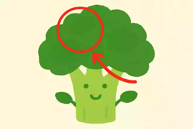 2月が旬のブロッコリーですが、普段食べている部分はどこでしょうか?