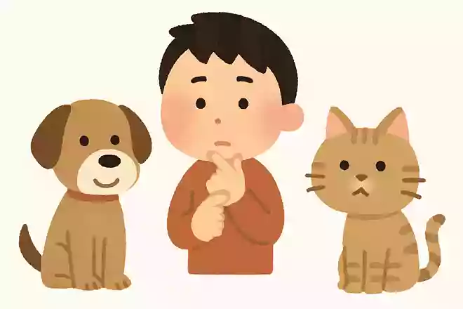 犬 or 猫、どちらかにしか触れない体になるとしたらどっち?