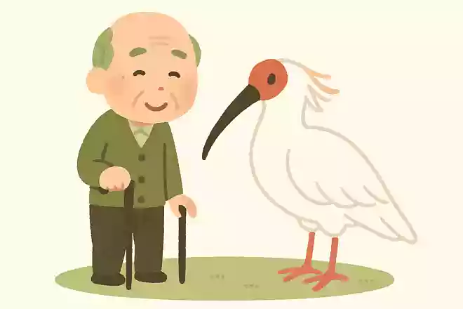新潟県の有名な鳥は?