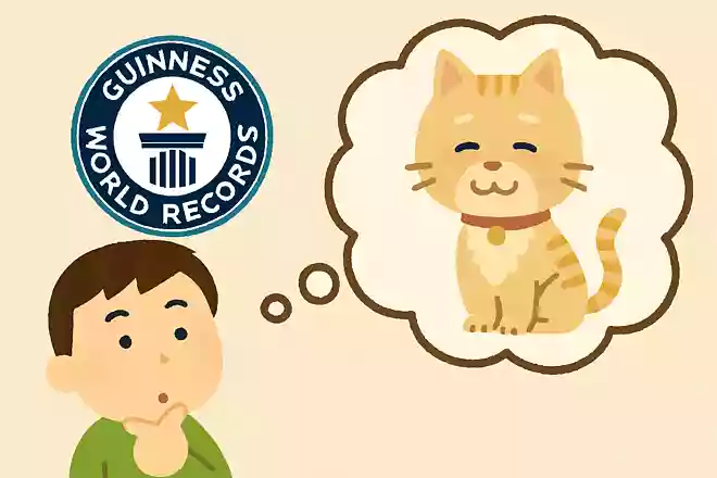 ギネス記録にもなっている、世界で一番長生きした猫は何歳?