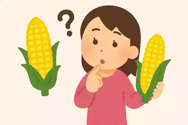 とうもろこしが日本に伝えられたのは西暦何年でしょうか?