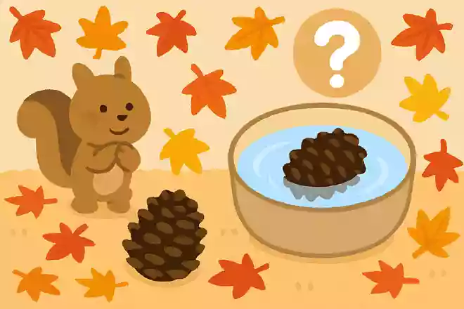 まつぼっくりは水につけるとどうなるでしょう?