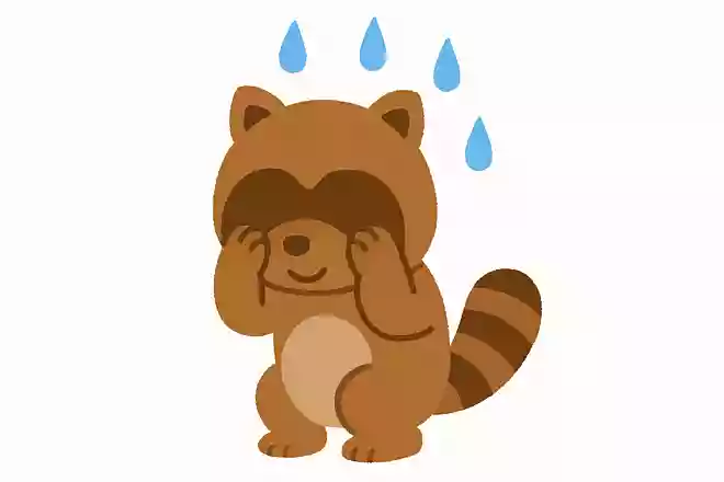 ある動物が顔を洗うと雨が降ると言われていますが、それは何でしょうか