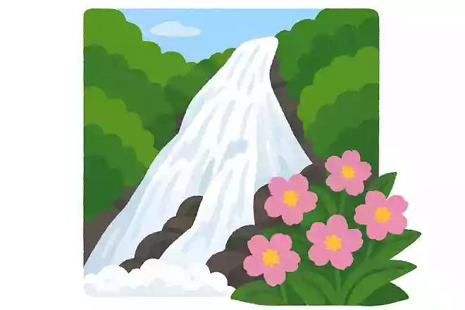 湯滝の付近に咲いている「花」は、何でしょうか?
