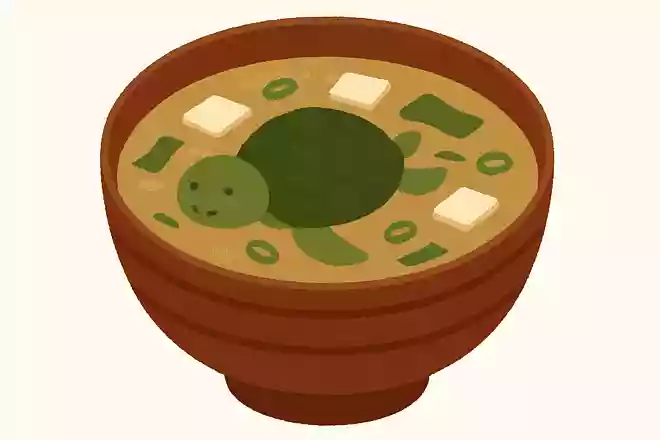 味噌汁のなかで泳ぐカメ、どんなカメ?