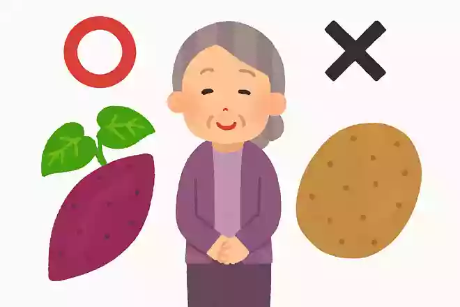 さつまいもとじゃがいもは同じ仲間の野菜である。○か×か