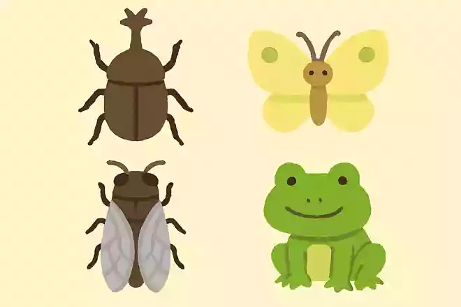 この中で昆虫ではないのは何でしょう?NEW!