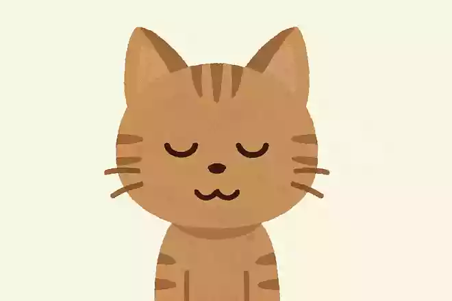 猫のまぶたは何枚ある?