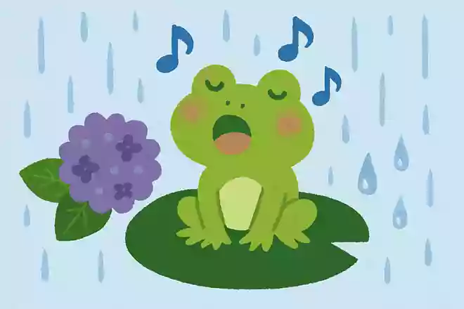 カエルがよく鳴いていると雨が降るNEW!