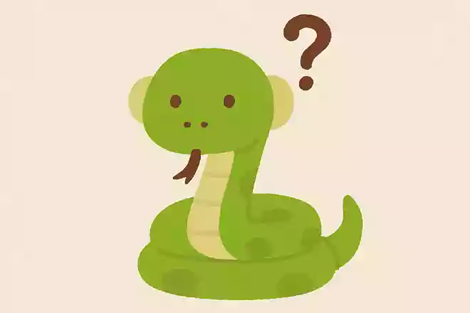 「目」、「鼻」、「口」、「耳」、この中でヘビが持たないのはどれでしょう?