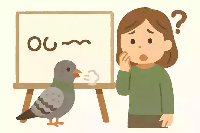 〇〇が豆鉄砲を食ったよう