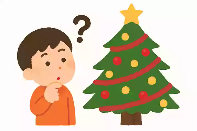 クリスマスツリーの木の名前はなんでしょうか?