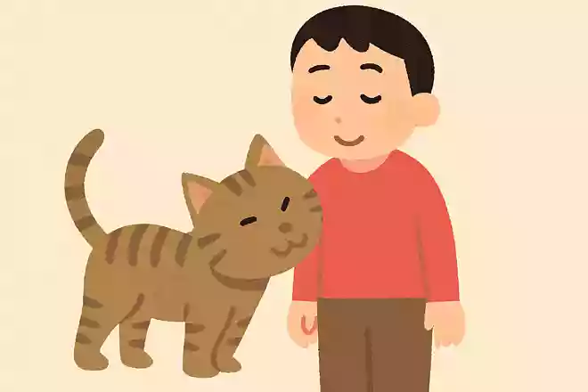 猫が人間にスリスリとすり寄るのはなぜ?