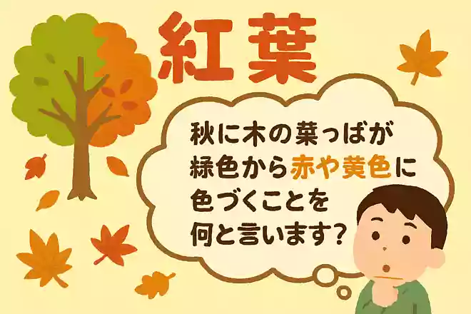 秋に木の葉っぱが緑色から赤や黄色に色づくことを何と言いますか?