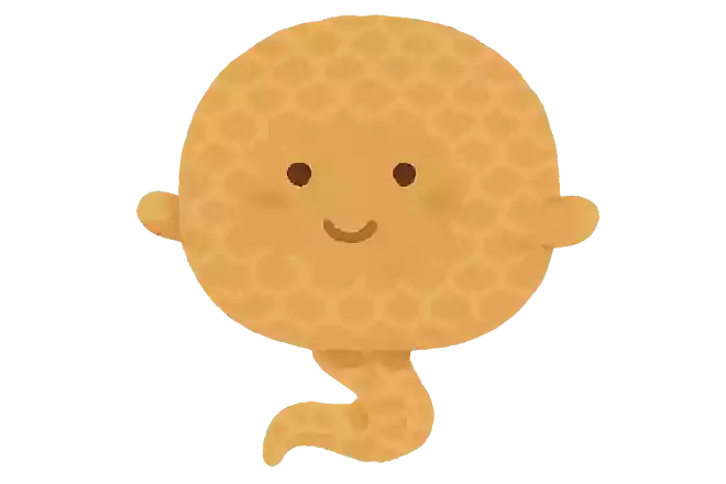 ミノ