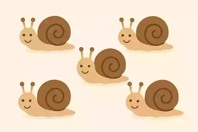 カタツムリの前に2匹のカタツムリがいます。カタツムリの後ろにも2匹のカタツムリがいます。真ん中にもカタツムリが1匹います。カタツムリは全部で何匹いるでしょうか?