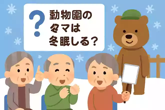 野生のクマは冬眠しますが、動物園のクマは冬眠するでしょうか？