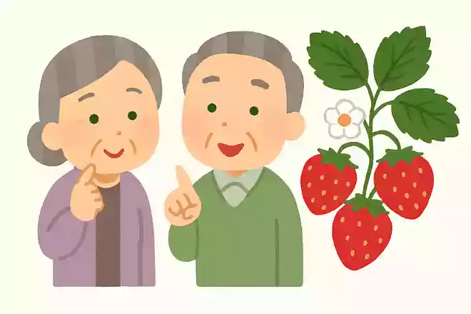 いちごは何科の植物でしょうか?
