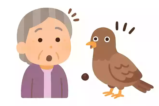 〇〇が豆鉄砲を食ったよう