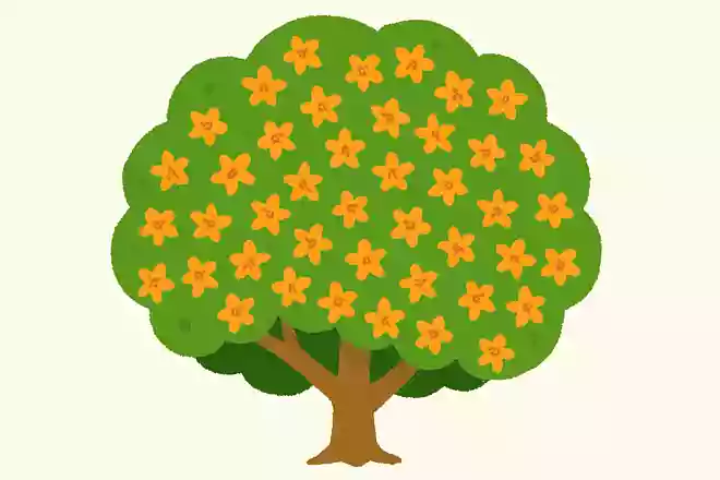 木に小さなオレンジ色の花が沢山咲いて、とってもいいにおいがする花の名前はなんでしょう。