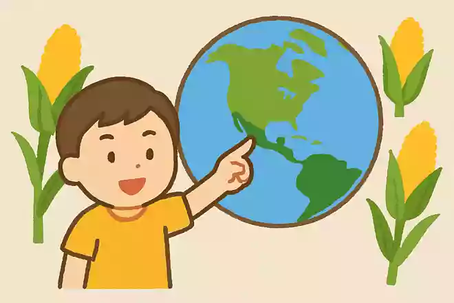 世界でもっともたくさんとうもろこしを生産しているのはどこでしょう?