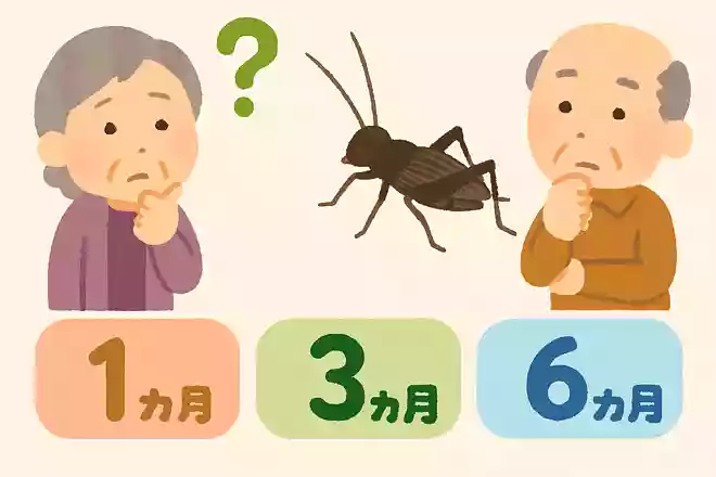 スズムシの寿命は次のうちどれでしょうかNEW!
