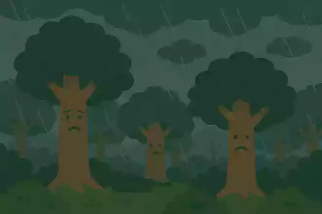 天気がどんどん悪くなる森ってどんな森?